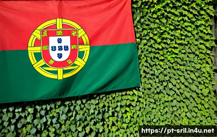 Viver no Sri Lanka: o que relatos de expatriados revelam sobre custos, adaptação e planejamento 4 스리랑카로 이주한 해외 이민자 이야기 관련 이미지 2